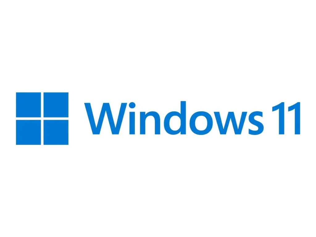 Microsoft Windows 11 Pro (64 BIT) Retail - USB Box